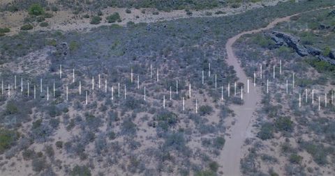 Aerial desert scrubland with white tree tubes restoring habitat, worker walking trail