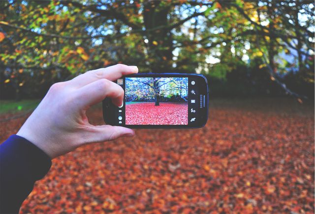 Hand holding smartphone capturing beautiful autumn landscape in park with orange leaves covering ground. Perfect for concepts of digital photography, nature appreciation, seasonal changes, social media posts about autumn, or promoting smartphone photography.