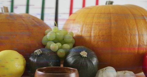 Autumn harvest still life showcasing pumpkins, squash, grapes and garlic on kitchen table