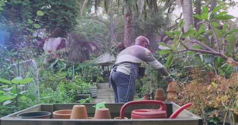 Gardener tending terracotta pots in lush backyard nursery with red watering can