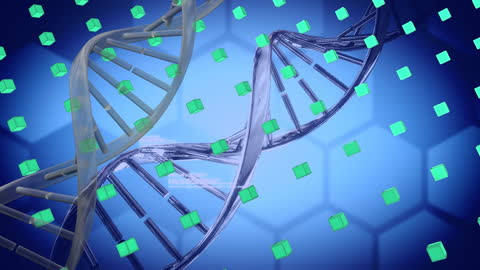 Digital DNA Strands and Molecule Representation with Cubes