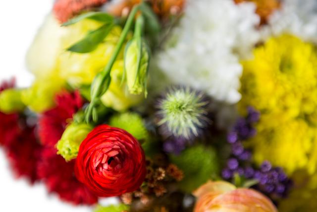 Close-up of flower bouquet with different flowers