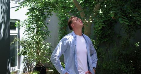 Young man standing under leafy canopy looking up in sunlit urban courtyard