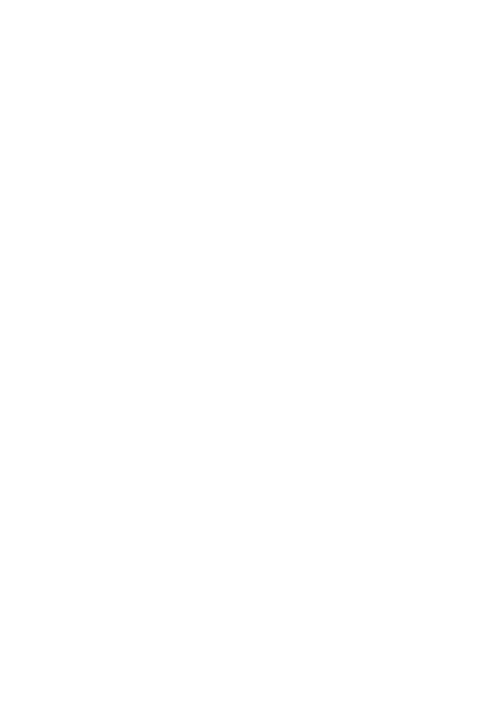 Silhouette of Male Judo Fighter in Action on Transparent Background - Download Free Stock Videos Pikwizard.com