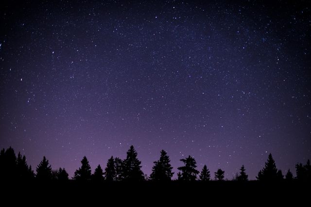 Starry Night Sky Over Forest Silhouette - Download Free Stock Photos Pikwizard.com