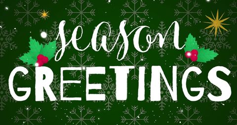 Festive Season Greetings Card with Snowflakes and Holly