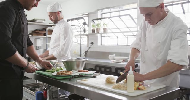 Chefs Preparing Food in Professional Kitchen - Download Free Stock Images Pikwizard.com