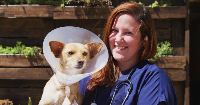 Happy caucasian female vet holding dog with collar in sunny dog shelter. Animals, support and temporary home, unaltered.