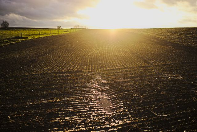 Beautiful sunrise casting a warm glow over a freshly plowed agricultural field. Ideal for use in projects related to farming, agriculture, rural life, and natural landscapes. The stunning gradient of light adds a serene and hopeful mood, perfectly suited for inspirational and motivational content.