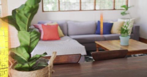 Sunlit cozy living room featuring potted fiddle leaf plant in woven basket on wooden table