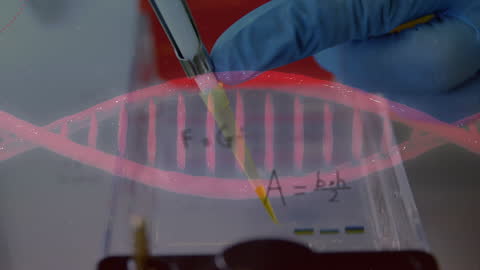 Digital Network Animation and Smartphone Usage