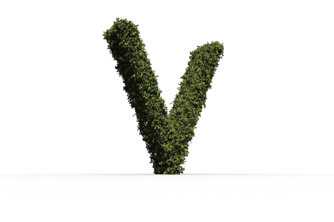 letter v shaped with lush green leaves on transparent - Download Free Stock Videos Pikwizard.com