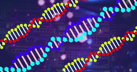 Colorful DNA Strands Over Server Room Background - Download Free Stock Images Pikwizard.com