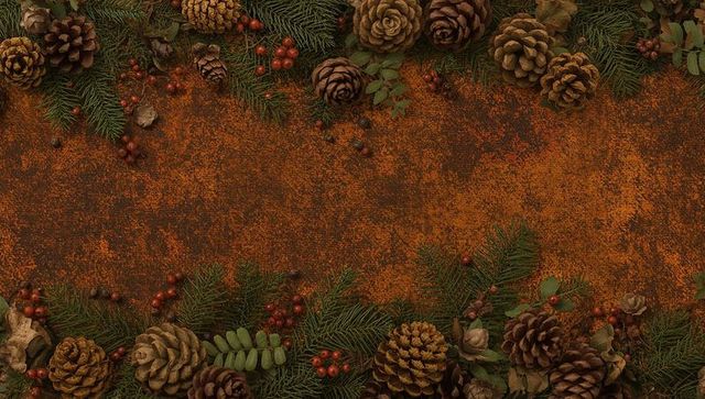 Framing rustic autumn border with pinecones fir sprigs and red berries on rusted metal surface