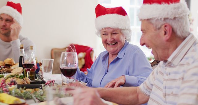 Happy Seniors Celebrating Christmas with Family Dinner - Download Free Stock Images Pikwizard.com