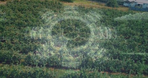 Aerial technological visualization of precision farming in orchard