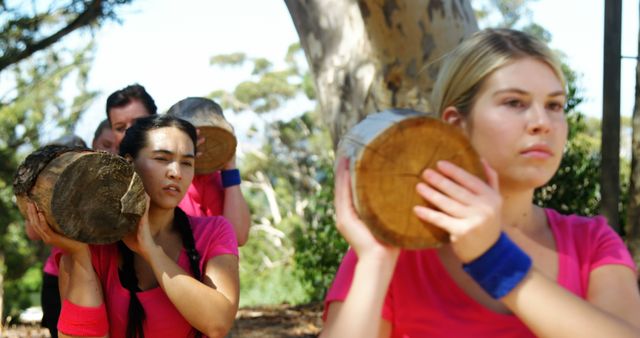 Group Exercise with Logs in Outdoor Fitness Training - Download Free Stock Images Pikwizard.com