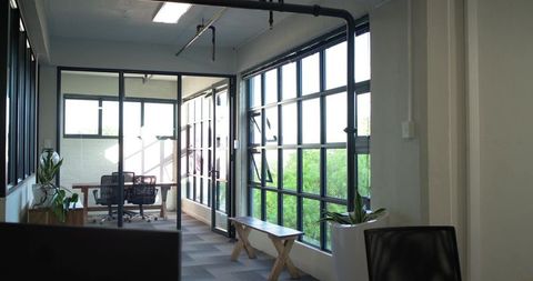 Sunlit modern glass-walled office corridor featuring meeting room, wooden bench, indoor plants