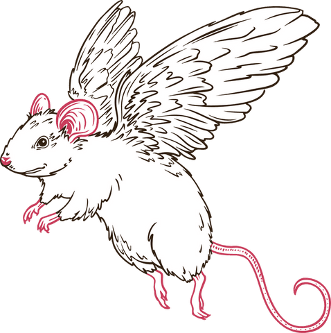 imaginative winged rodent with feathered wings on transparent background - Download Free Stock Videos Pikwizard.com