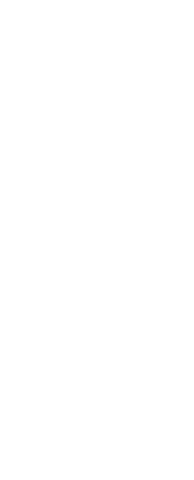 Basketball Player Silhouette on Transparent Background for Sports Design