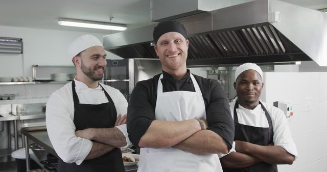 Team of happy chefs standing confidently in commercial kitchen - Download Free Stock Images Pikwizard.com