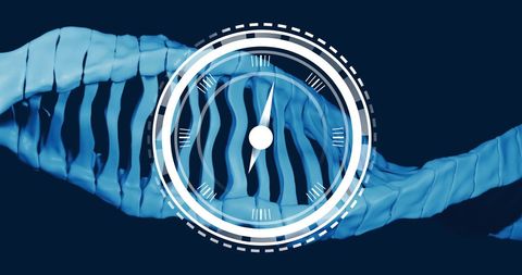 DNA Strand Entwined with Conceptual Time Illustration - Download Free Stock Images Pikwizard.com