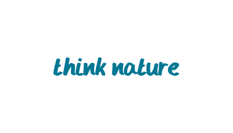 Ecology Concept Text Think Nature Transparent Design - Download Free Stock Videos Pikwizard.com