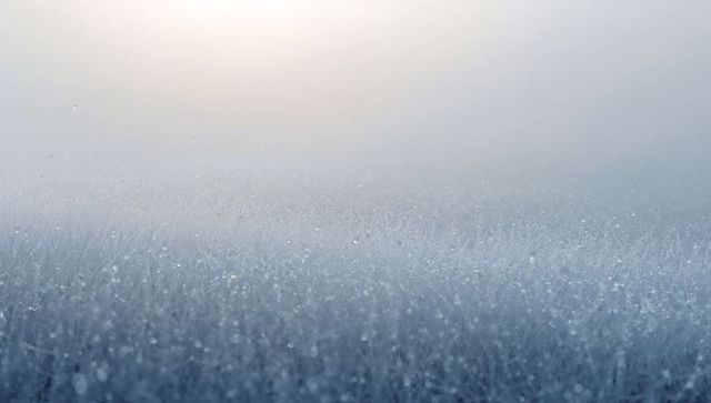 Sparkling frost covering meadow grass with dewdrops, misty dawn glow and soft bokeh