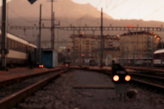Image shows blurred views of railroad tracks with distant trains during sunset. Perfect for articles or projects related to transportation, travel, and urban exploration. Great visual for backgrounds in transportation-themed presentations or environmental brochures.