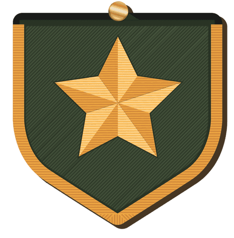 gold star insignia with green shield on transparent background - Download Free Stock Videos Pikwizard.com