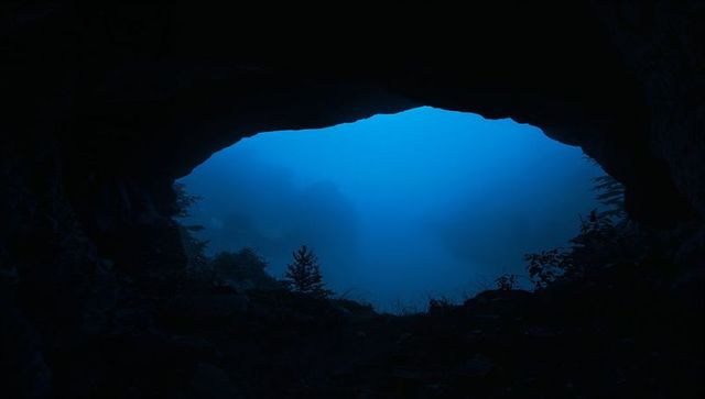 Misty blue valley framed by dark cave entrance with silhouetted shrub and rocks