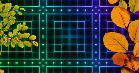 Vivid Autumn Leaves on Neon Grid Background
