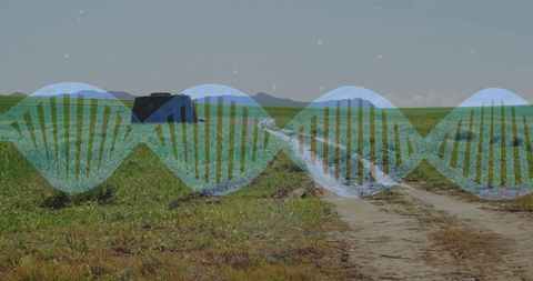 Double Helix Overlay on Rural Landscape with Dirt Road