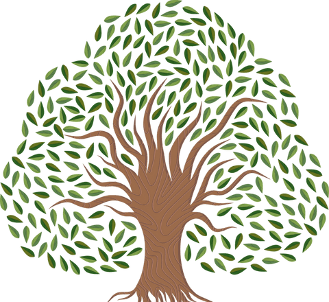 transparent background stylized tree with green leaves and patterned trunk - Download Free Stock Videos Pikwizard.com