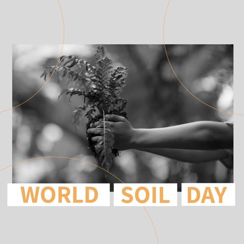 Celebrating World Soil Day with Young Hands Holding Plant