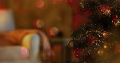 Warm Christmas Ambiance with Decorated Tree - Download Free Stock Images Pikwizard.com