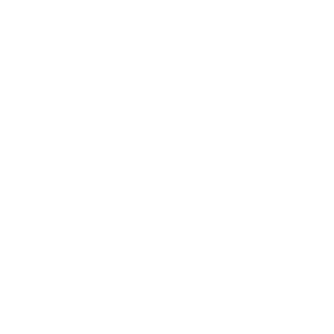 Seamless White Floral Pattern on Transparent Background Illustration - Download Free Stock Videos Pikwizard.com