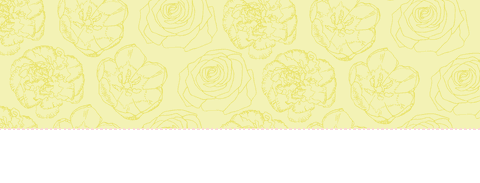 Illustrative Flowers with Transparent Background Design Art - Download Free Stock Videos Pikwizard.com
