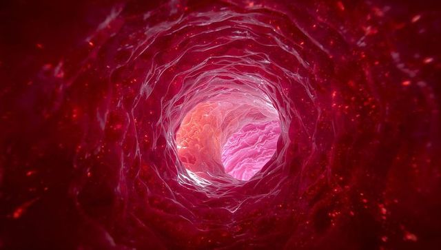Glowing tubular lumen with ringed fibrous layers 3d medical illustration