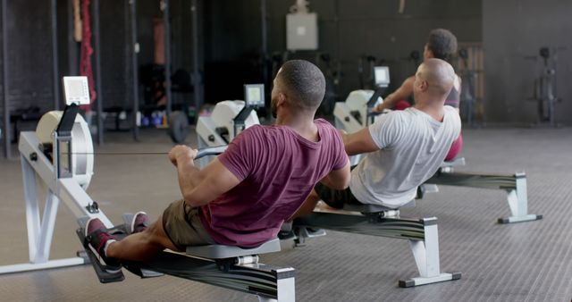 Men Exercising on Rowing Machines at Gym - Download Free Stock Images Pikwizard.com