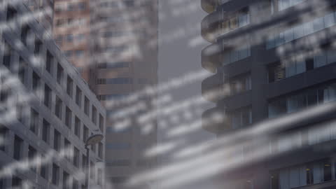Data Streams Overlay on Urban Skyscrapers Symbolizing Global Business