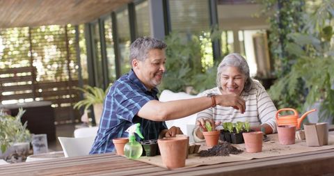 Cheerful Senior Couple Planting Togetherness Gardening Activity