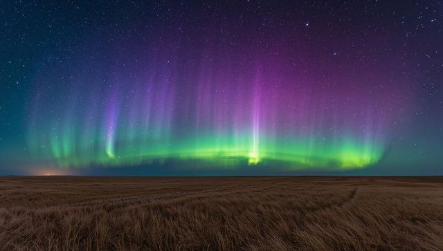 Aurora Borealis Dancing Over Open Grassland Night Sky with Vivid Green and Purple Bands