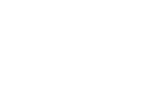 Silhouette of Hands Holding Inspection Text on Transparent Background - Download Free Stock Videos Pikwizard.com