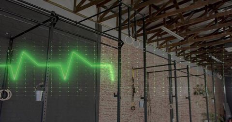 Functional training rig with gymnastic rings trx straps and ecg holographic overlay