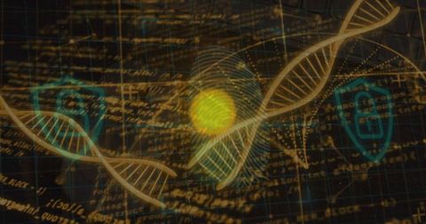 Digital Security: DNA, Fingerprints, Encryption in Biotechnology Interface