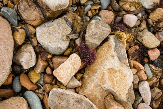 Close-up shot of an assortment of rocks and pebbles on a beach, featuring various sizes, shapes, and colors. Ideal for use in environmental, geological, or nature-themed publications. Excellent for backgrounds, texture designs, or educational materials related to geology and coastal ecosystems.