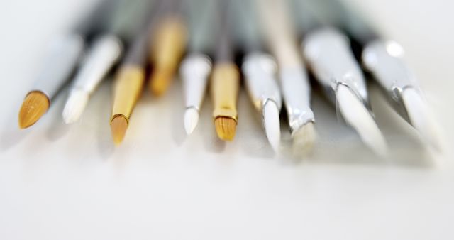 A variety of paintbrushes with different tips are lined up, showcasing tools for artists and painters, with copy space. Their arrangement emphasizes the diversity of brush types used for creating different textures and effects in painting.