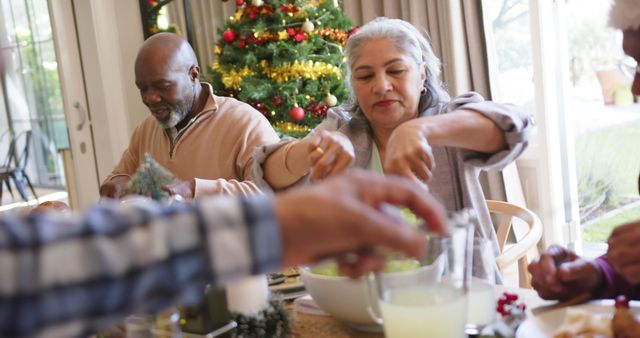 Senior Couple Enjoying Christmas Dinner with Decorative Tree - Download Free Stock Images Pikwizard.com