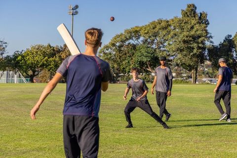 Young diverse men playing cricket in park during sunny practice drills with bat and ball